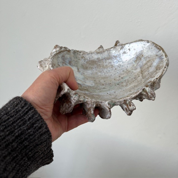 �sters fad medium 2