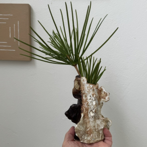 Vase 3